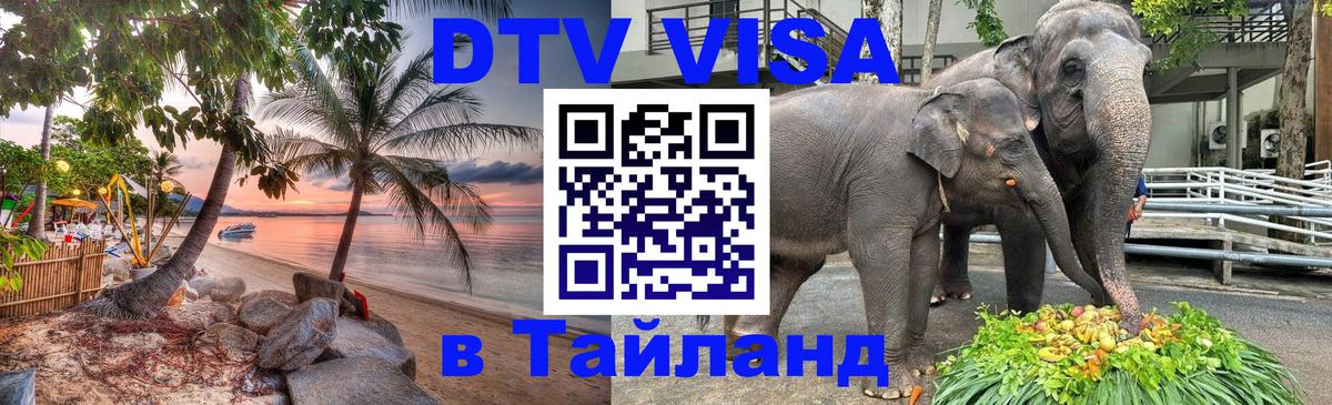 Сколько стоит DTV виза — актуальные цены, оформление даже без документов - 